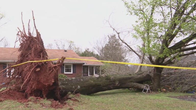 Kernersville homeowner recovering after fallen tree knocks out power ...