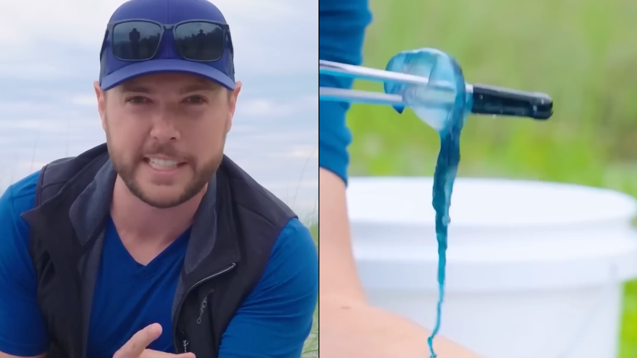 The ocean’s most painful stings — tested