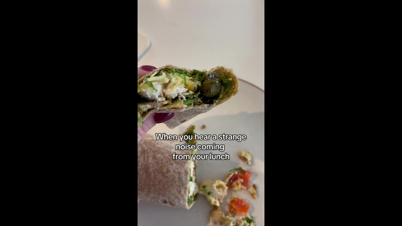 Irish mum finds live snail in homemade wrap, turns viral 10-million ...