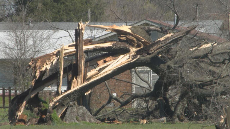 EF-1 tornado confirmed in Minturn; cleanup underway