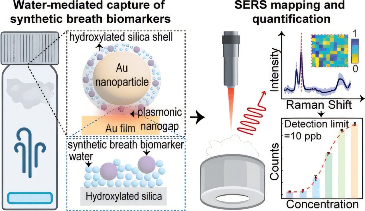 Breathing in nanoparticles could enable a 10-minute pneumonia check at ...