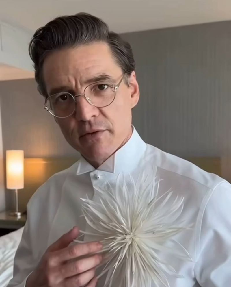 Pedro Pascal reafirma su estatus de ícono de estilo con un audaz look ...