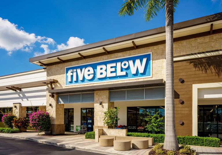 Transform your beauty routine with Five Below's $5 organizer