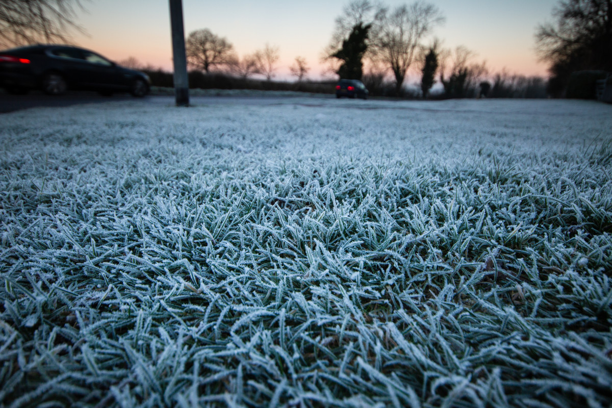Here's what a late spring freeze does to your lawn