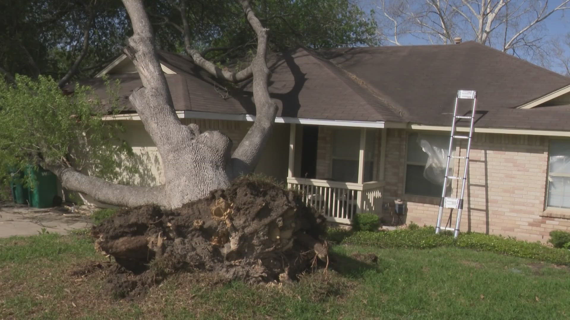 Strong winds hit Bexar County, cause widespread damage and power outages