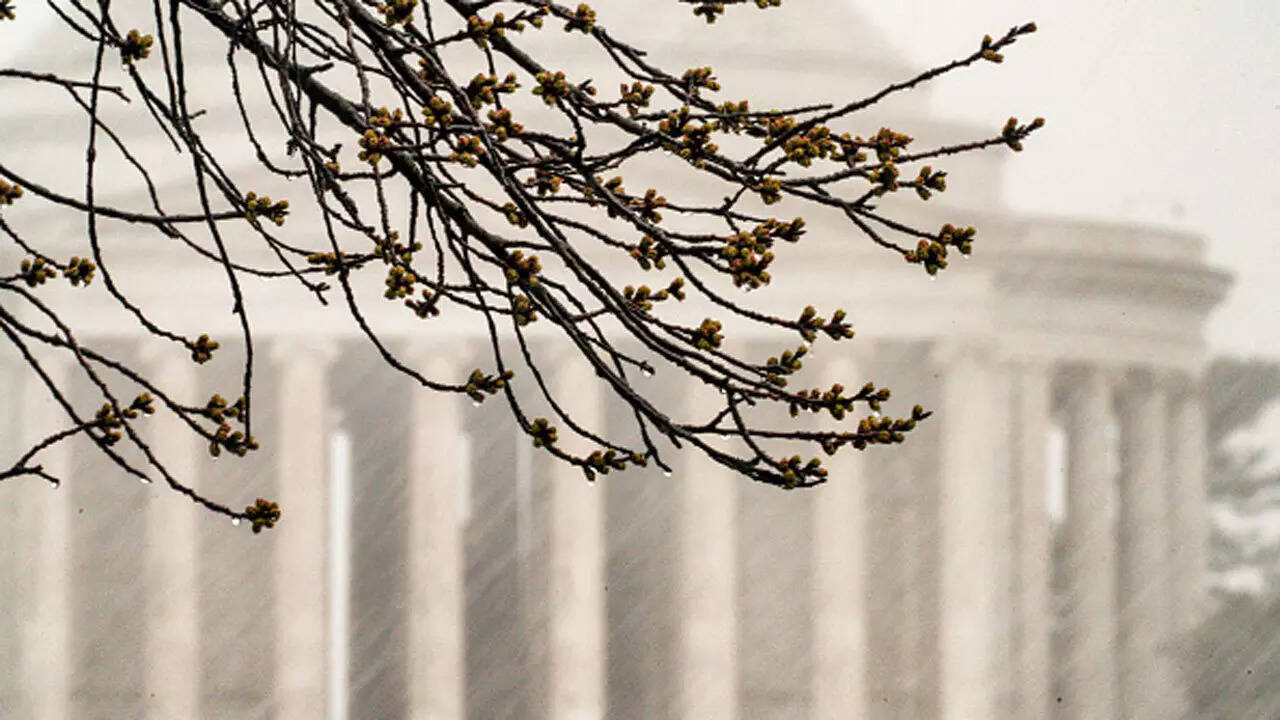 Severe storms force early school dismissals and closures across ...