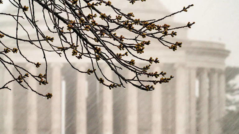 Severe storms force early school dismissals and closures across ...