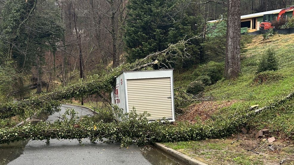 Strong winds bring down trees, causing power outages in Buncombe County