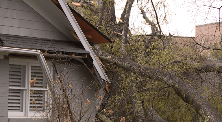 NC sees EF-0 tornado in Charlotte area, state leaders encourage caution ...