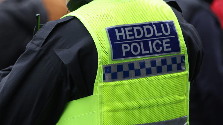 Two schools closed after 'online weapons threats'