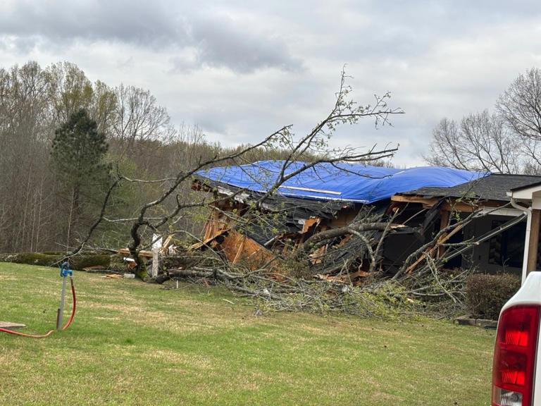 Mid-South residents deal with fallen trees, power outages after storm