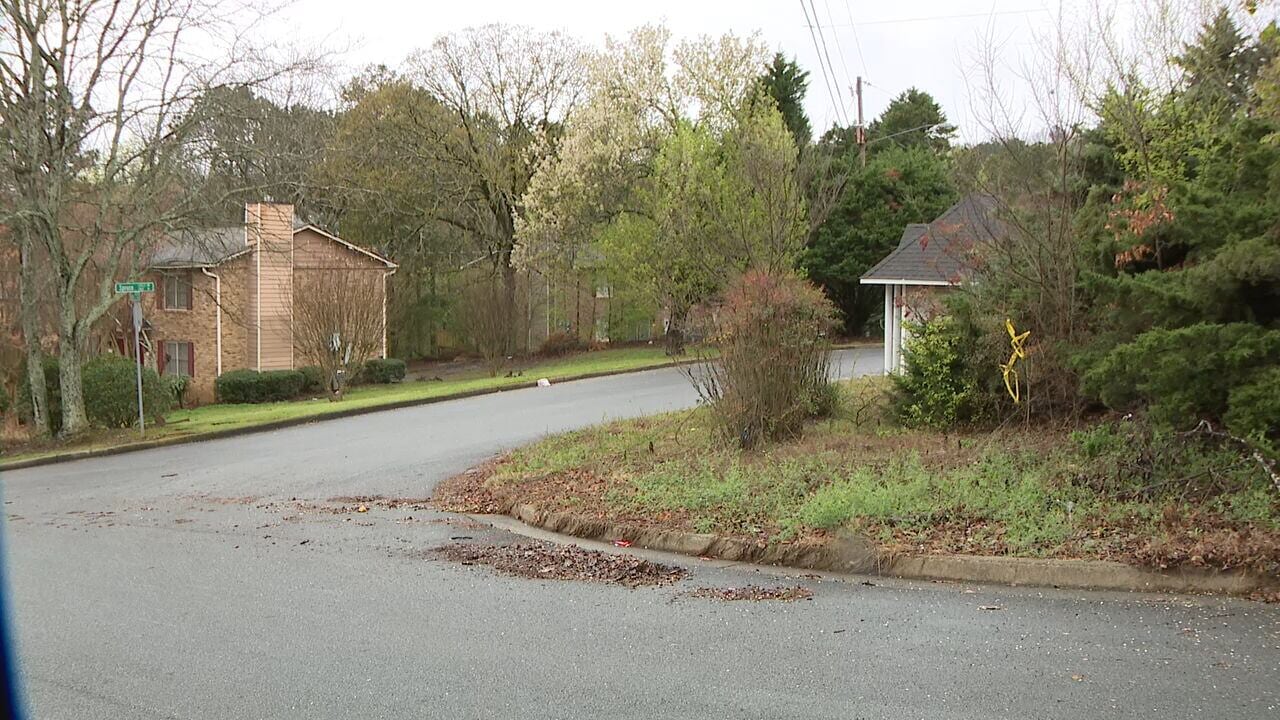 Gwinnett County police identify driver found shot to death in car