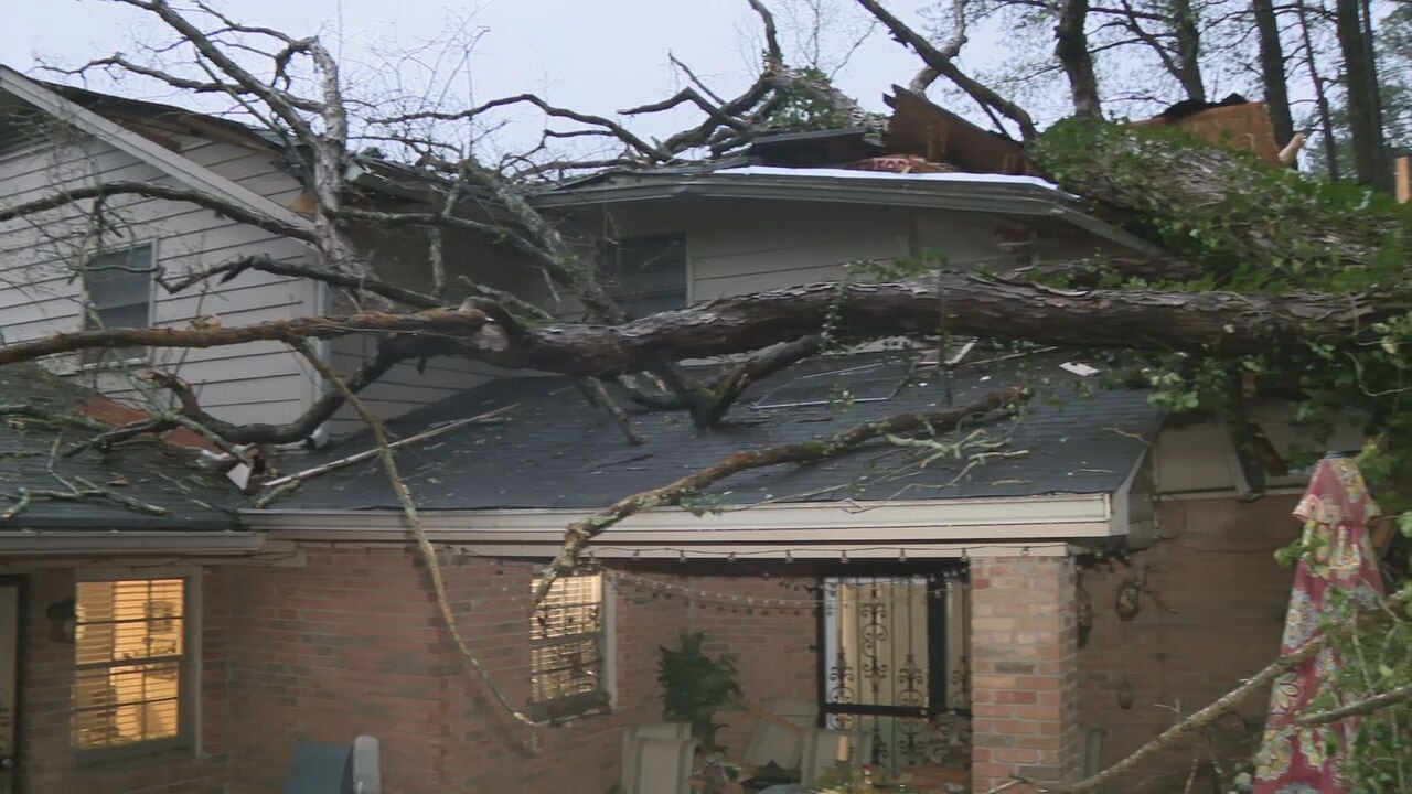 95-year-old wakes up in time to escape before massive tree falls on ...