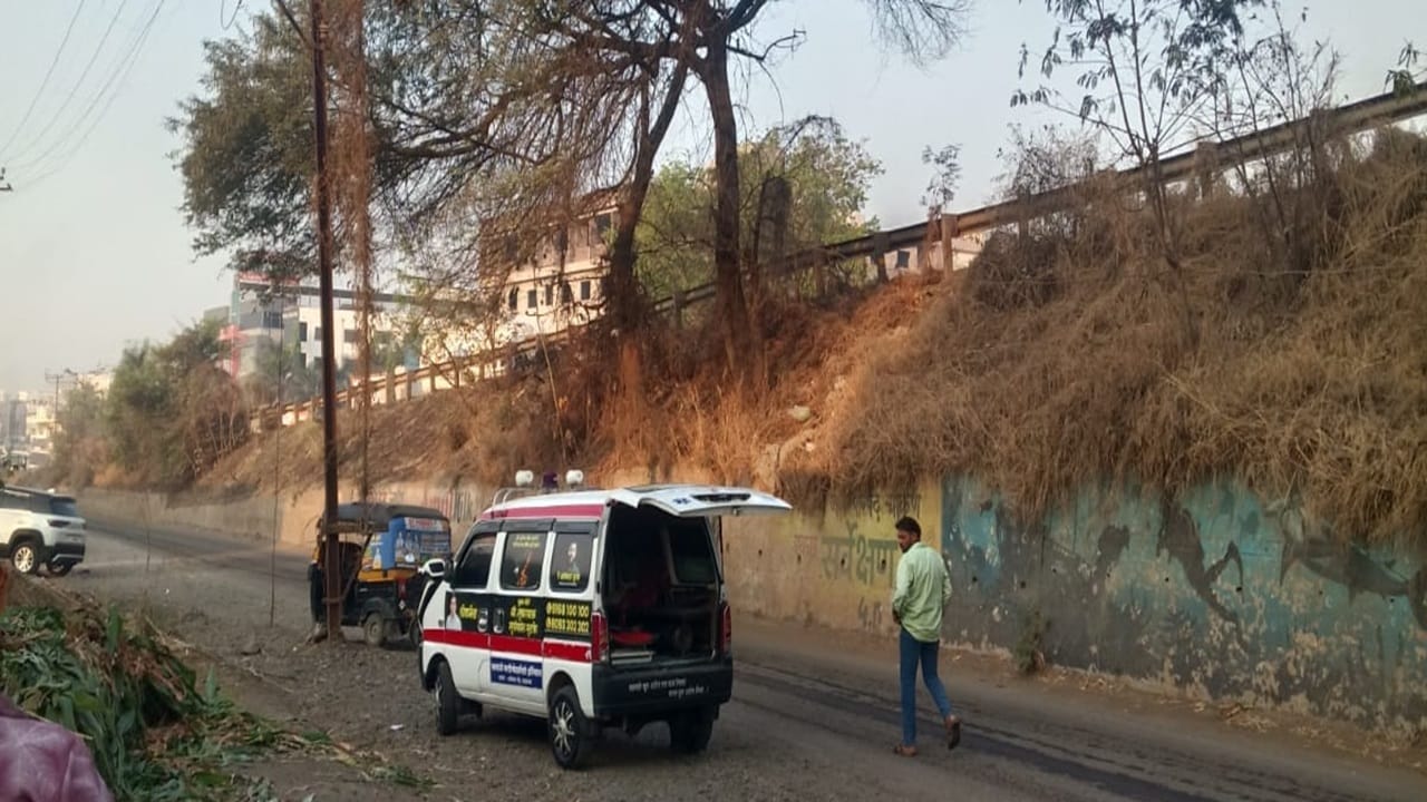 Pune: 32-year-old woman mauled to death by pack of 6 stray dogs
