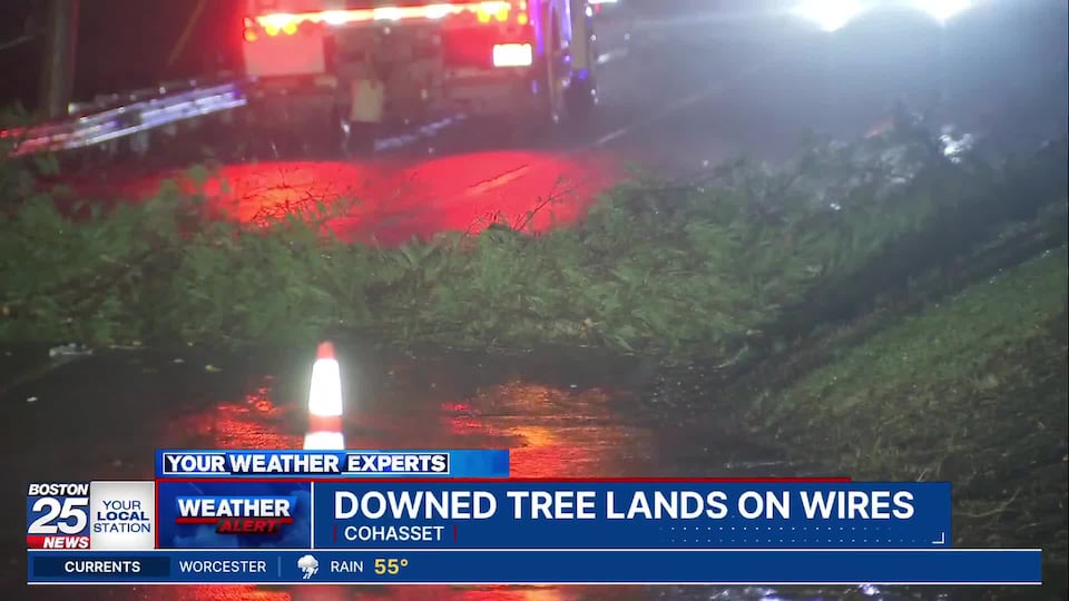 Fallen tree pulls down power lines in Cohasset, knocks out electricity