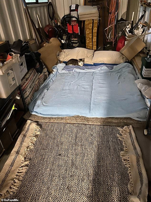 Elderly couple's dream Hawaii forever home is sucked into river by ...