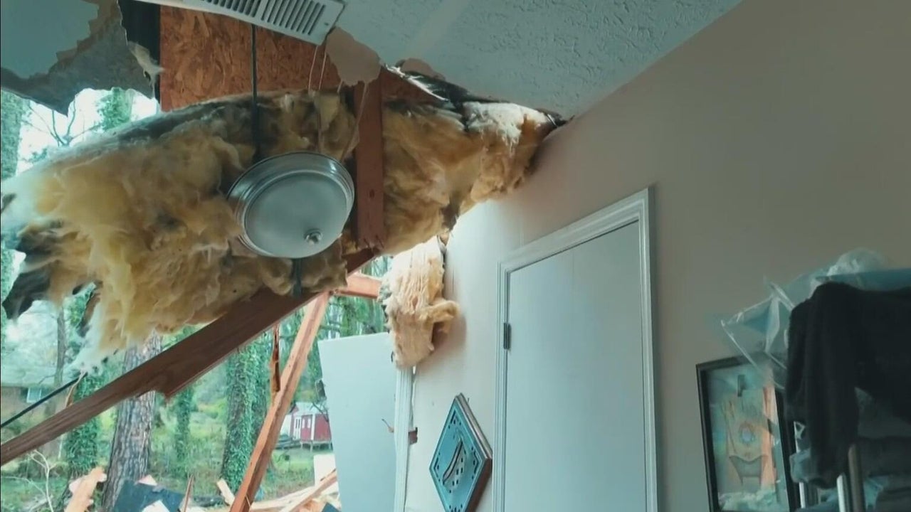 Family survives after massive tree destroys Atlanta home during severe ...