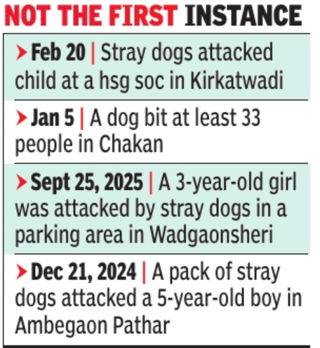 Woman returning from work mauled to death by pack of 6 stray dogs in ...