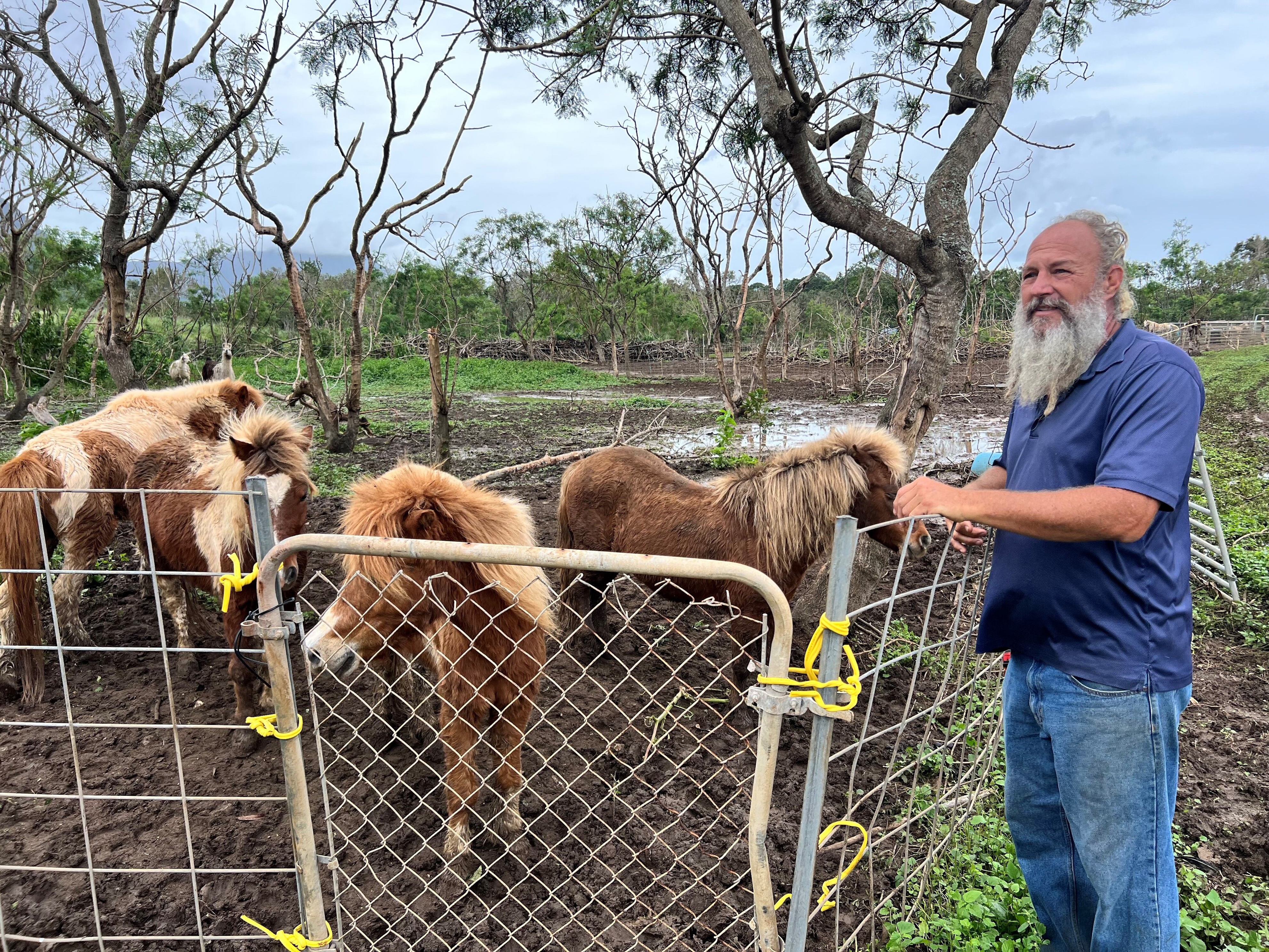 Waimanalo farm devastated by storm struggles to find and feed animals