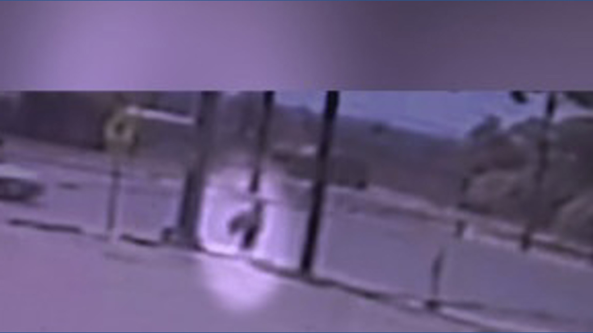 Woman killed after being run over by Lyft driver while spinning sign on ...