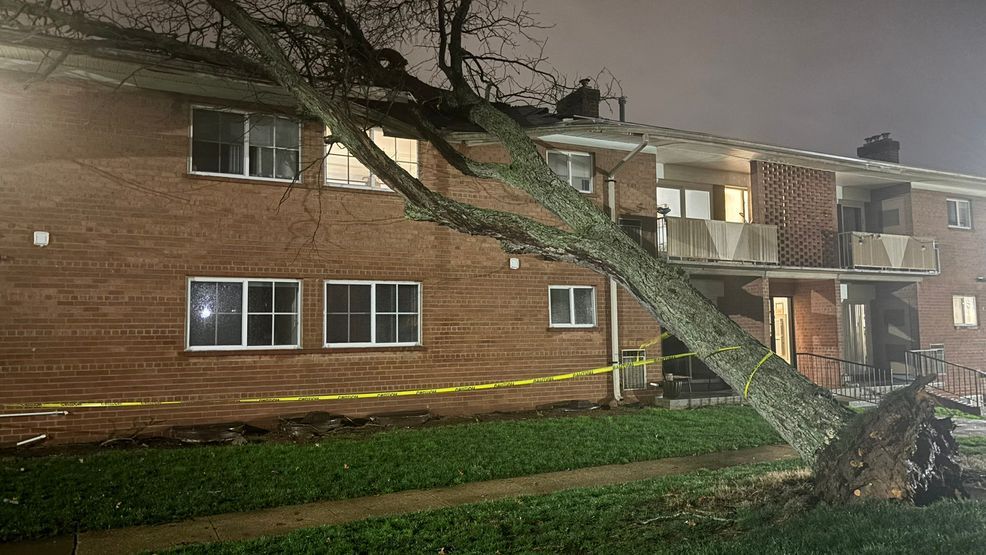 Fallen trees, power outages across the DMV after strong storms in the ...