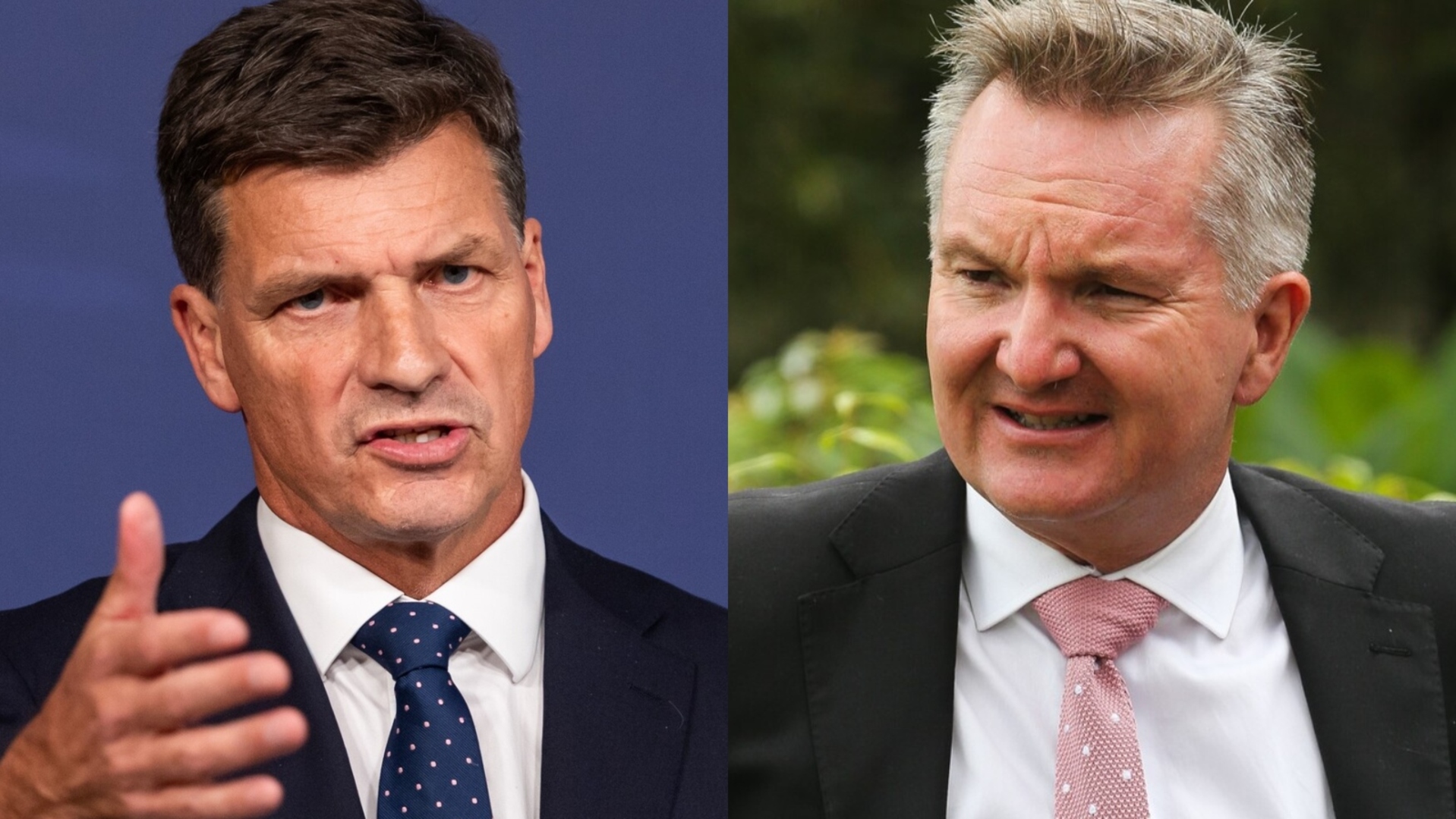 ‘The guy’s out of his depth’: Angus Taylor blasts Bowen over fuel crisis