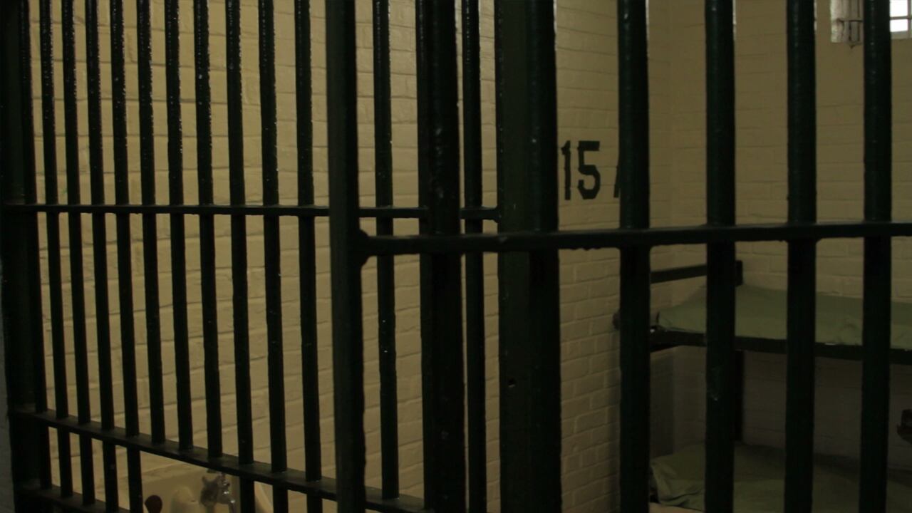 Woman facing charges after assaulting police officer, authorities say