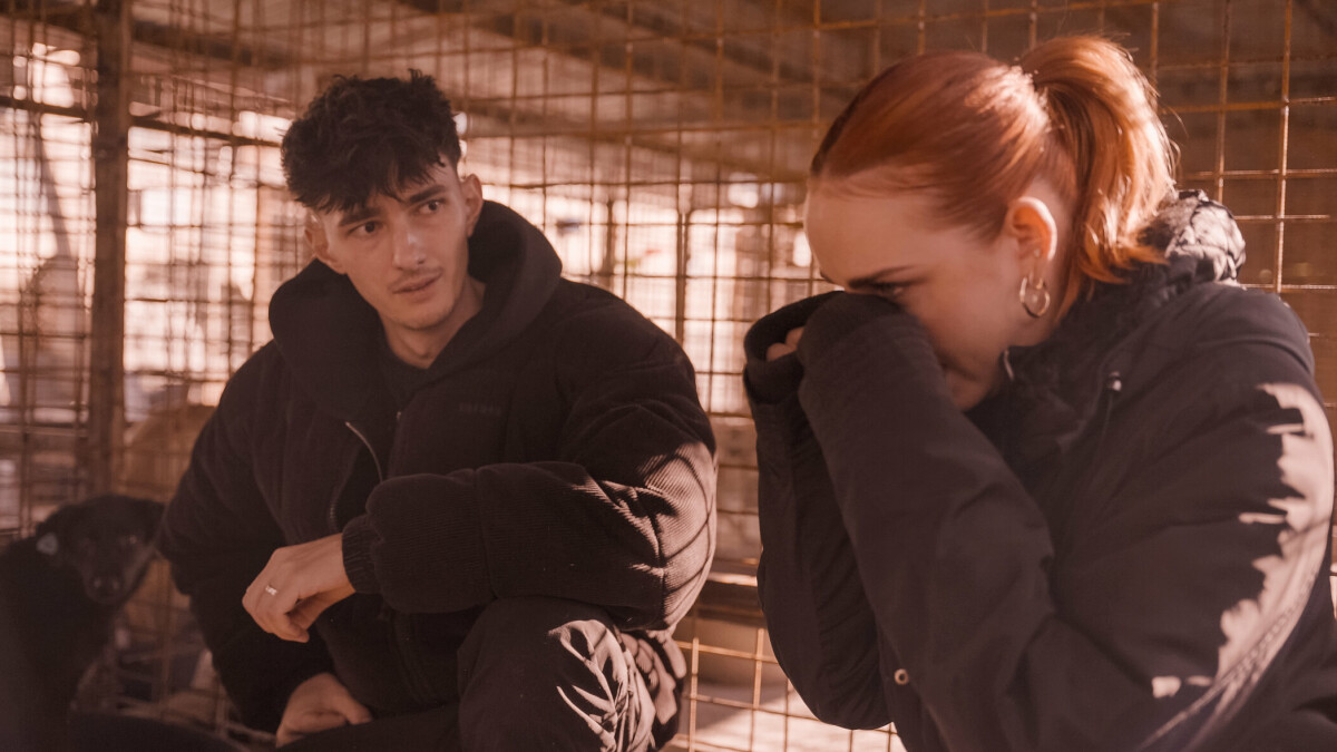 Schluss mit Tiertötung: Pro7-Reportage rettet 1.000 hunden das Leben