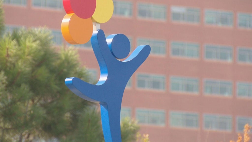 New coalition calls on Colorado's next governor to make youth mental ...