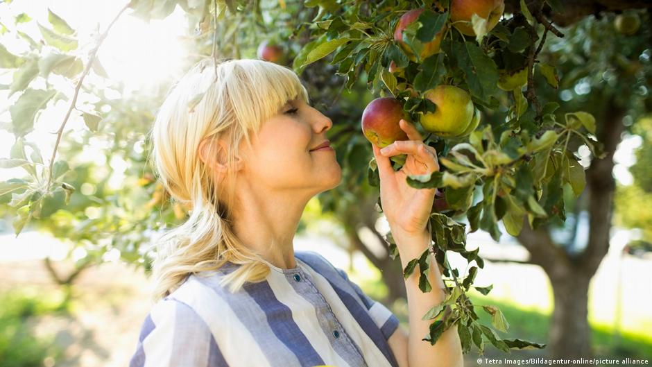 الفاكهة مهمة لأنها مليئة بالألياف الصحية