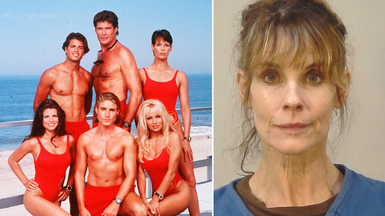 baywatch-icon-alexandra-paul-arrested-after-she-d-freed-beagles-from