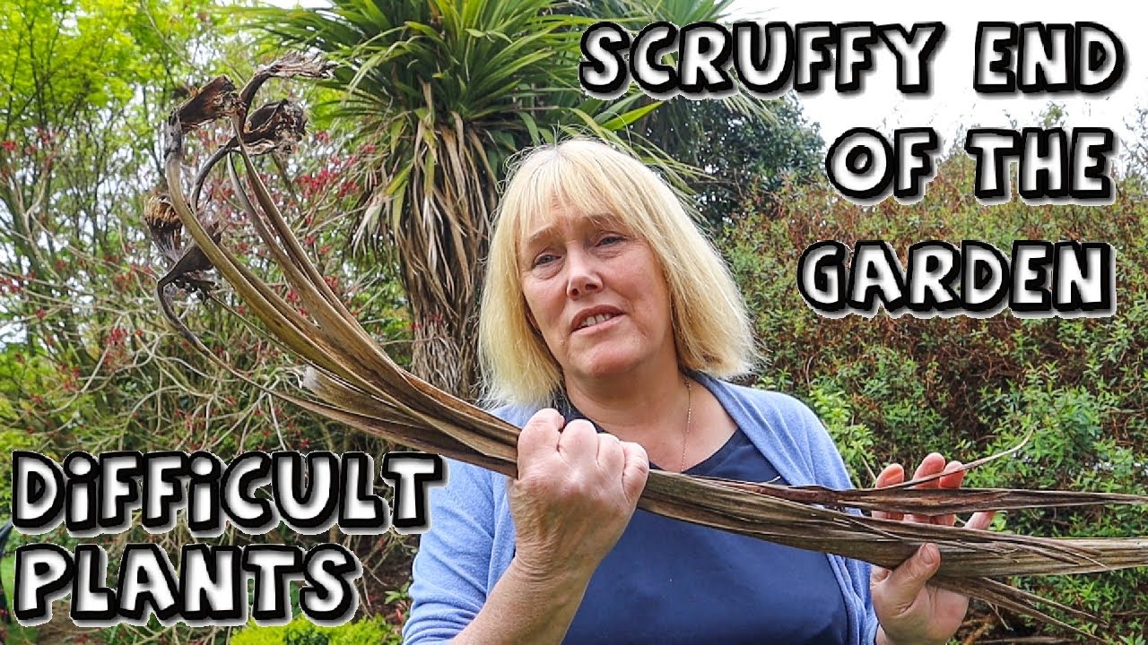 Working with difficult plants in a wild garden