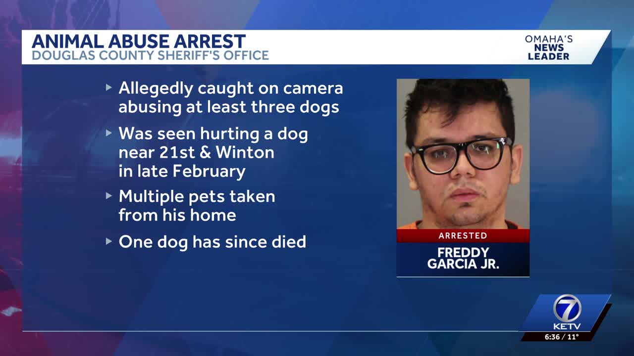 Douglas County Sheriff's Office makes arrest in animal cruelty case