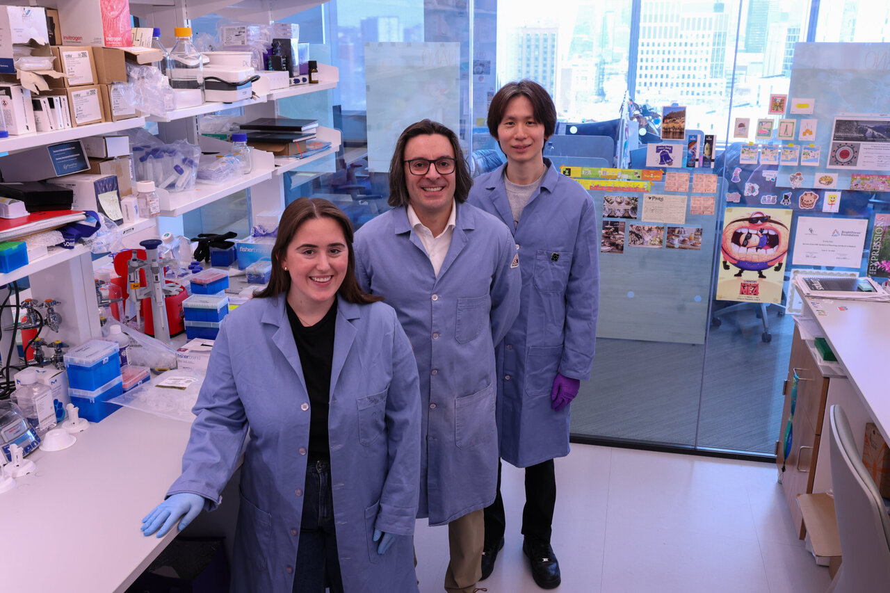 Engineered lipid nanoparticles reprogram immune metabolism for better ...