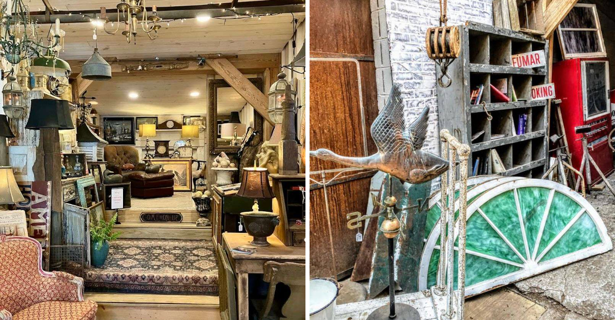 The incredible second-hand shop in Virginia is hiding rare collectibles ...