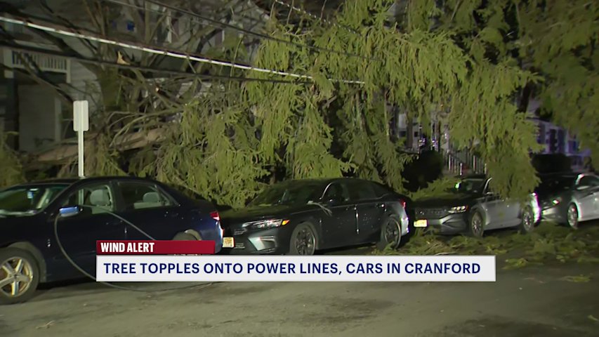 Thousands across New Jersey lose power as storms topple trees and wires