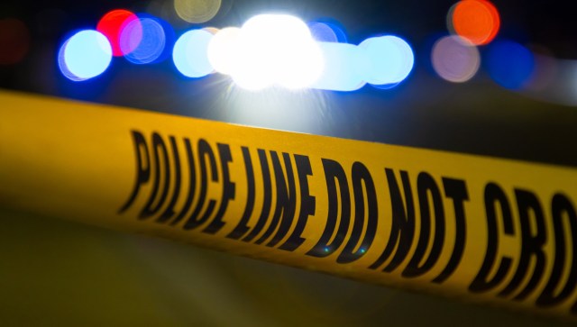 Authorities uncover illegal scheme with 300,000 pounds of contraband: 