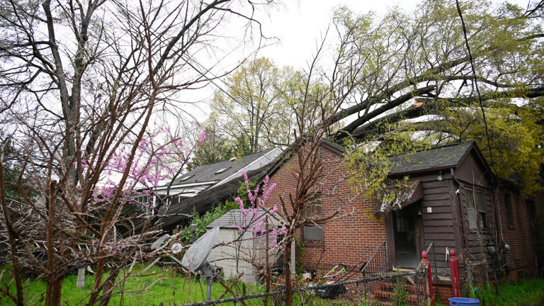 Nearly half a million without power after severe storms, tornadoes and ...