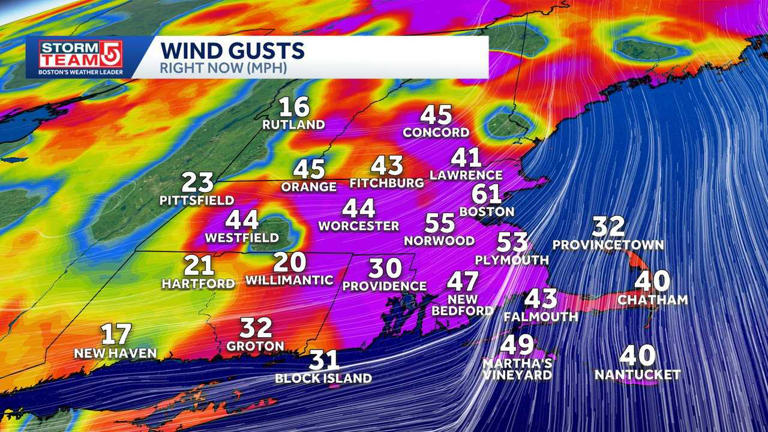 How gusty were the winds? A look at speeds from across Mass.