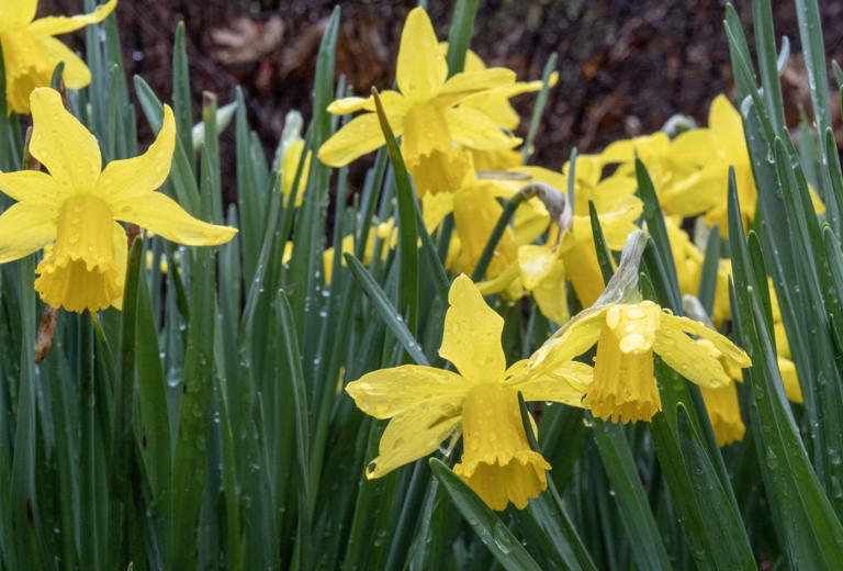 Sign up for the new Your Week newsletter