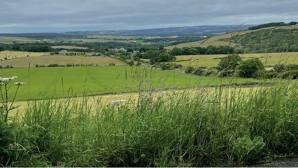 Whittonstall solar farm refusal heads to planning inquiry<br><br>