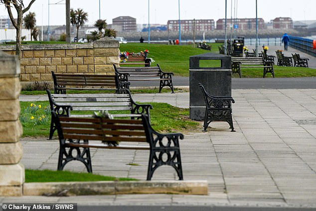 Council bans memorial benches after being 'overwhelmed' by 275 put up ...