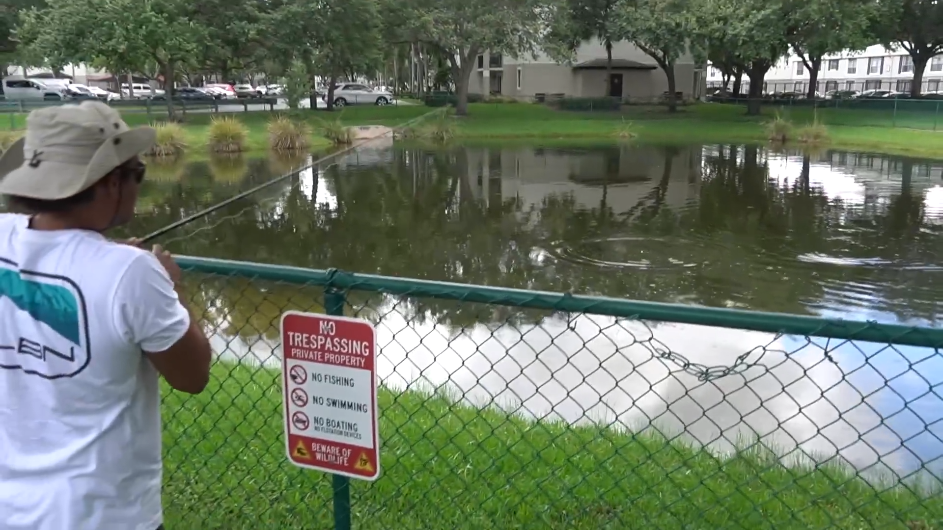 This neighborhood looks normal until you see what’s living in the water