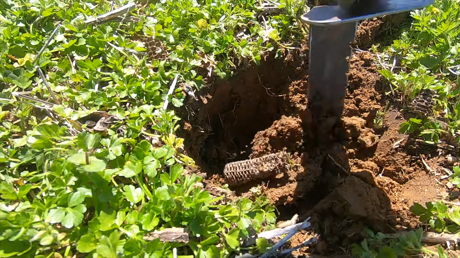 We found an old grave behind the house with a metal detector
