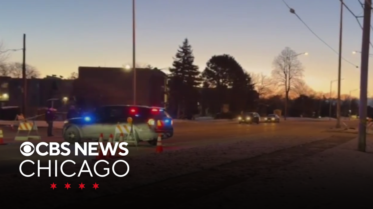 Driver found dead with gunshot wounds after hitting parked cars in ...