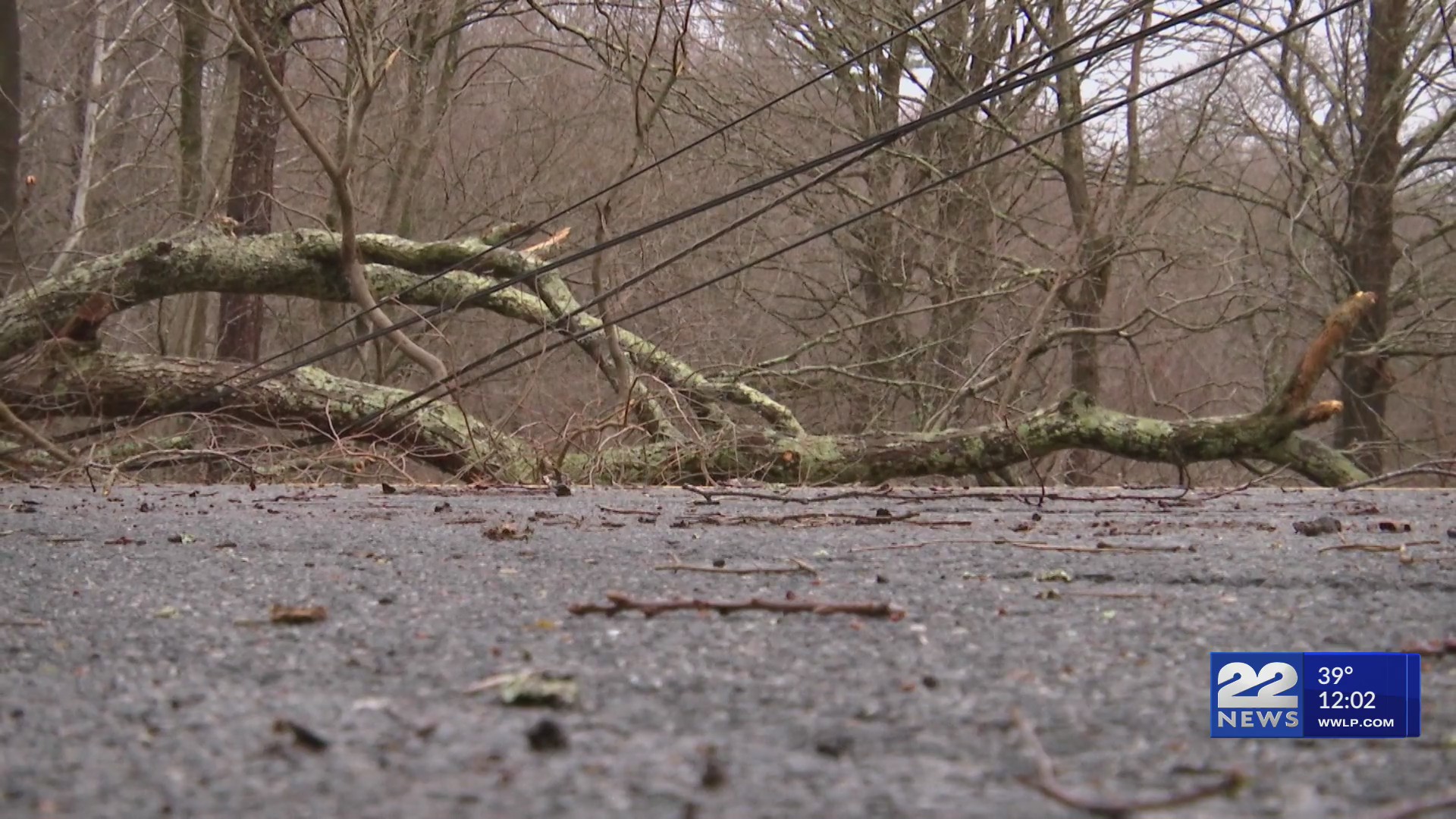 Heavy rain, wind prompt road closures and power outages