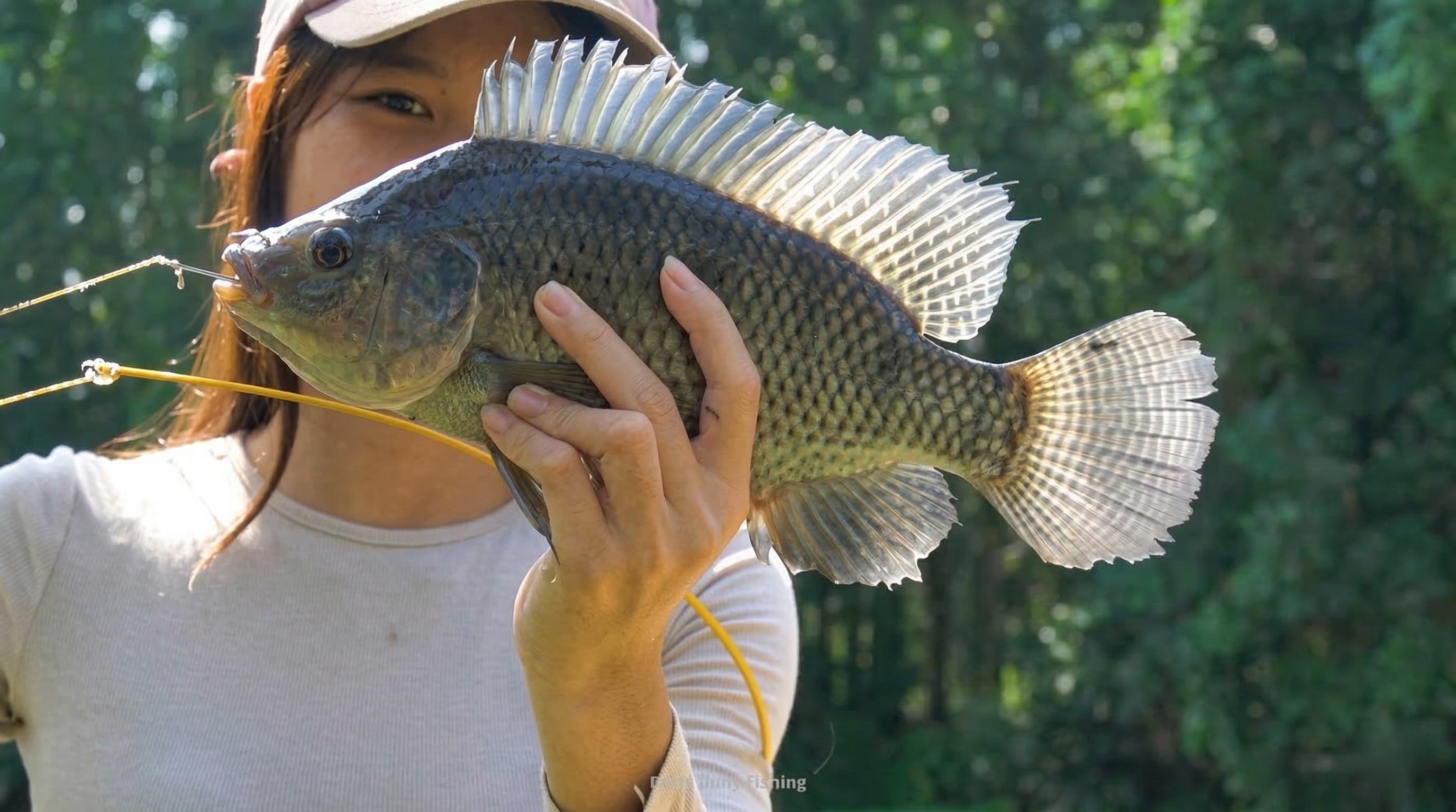 Watch what happens when fish are attracted to beer in the water