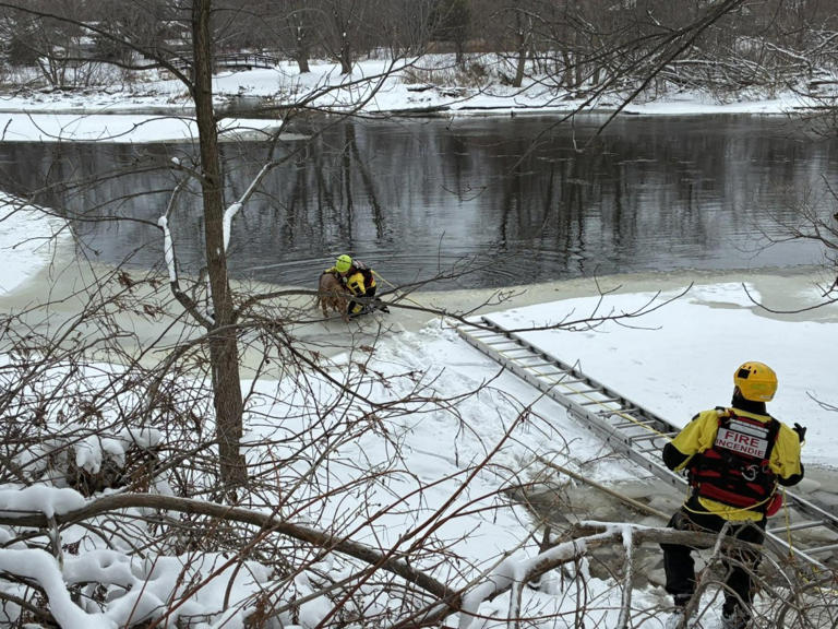 Watch: Firefighters rescue golden retriever from thawing Canadian river