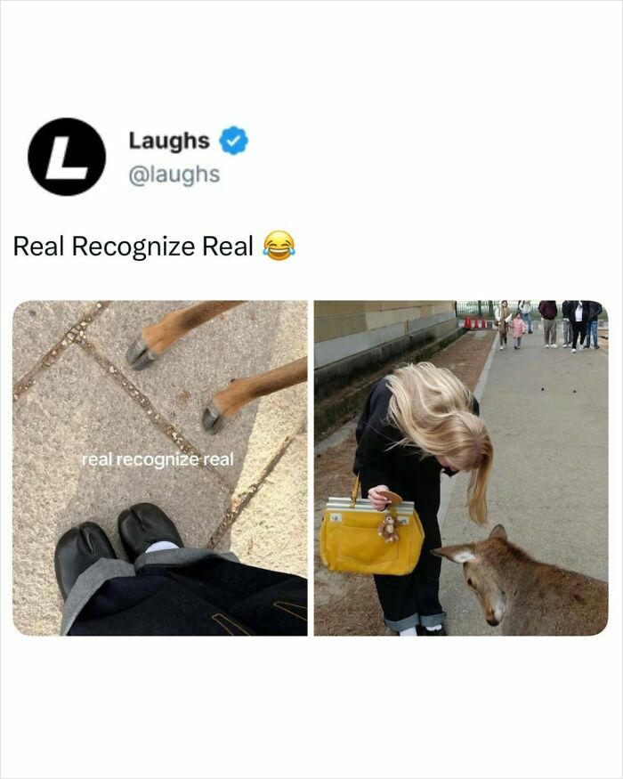 58 relatable memes for people who laugh to survive