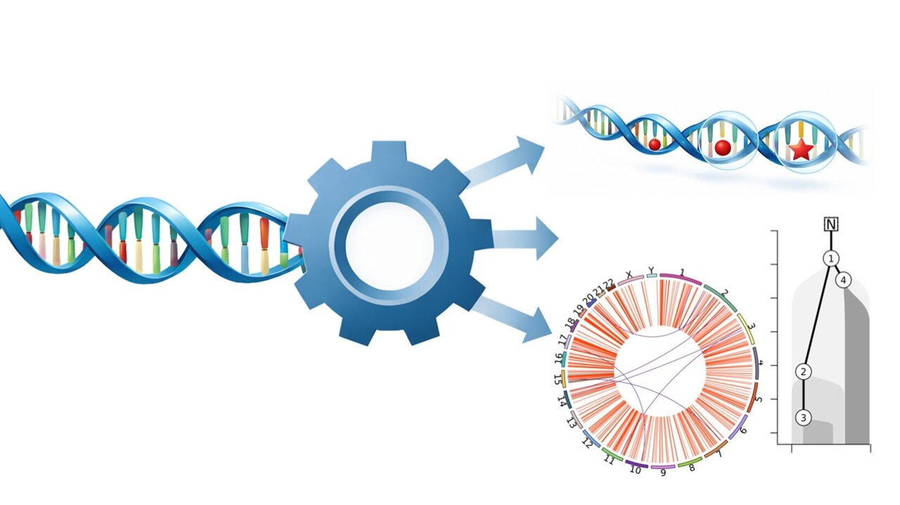 Computational bio tool automates and standardizes genome sequencing ...